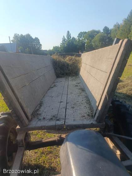 WSK M06 B3 Bąk Classic  1996