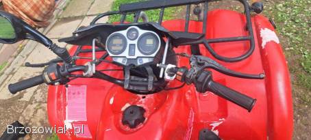Quad Nordic Campel 650