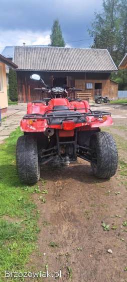 Quad Nordic Campel 650
