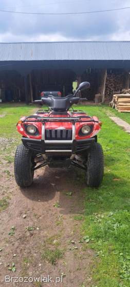 Quad Nordic Campel 650