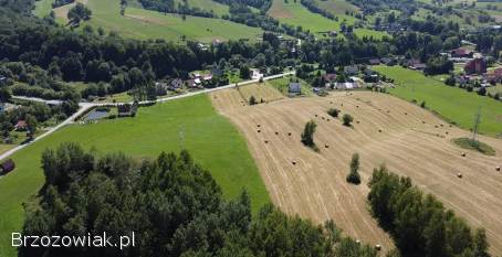 Polana -  Bieszczady widokowe działki -  WZ w trakcie