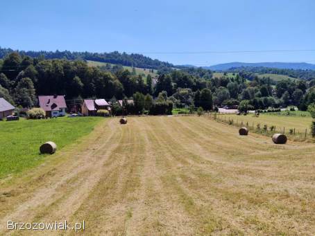Polana -  Bieszczady widokowe działki -  WZ w trakcie
