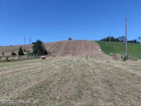 Polana -  Bieszczady widokowe działki -  WZ w trakcie