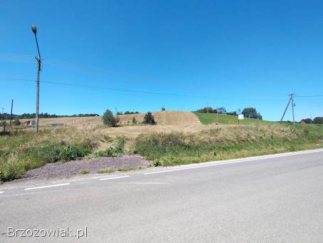 Polana -  Bieszczady widokowe działki -  WZ w trakcie