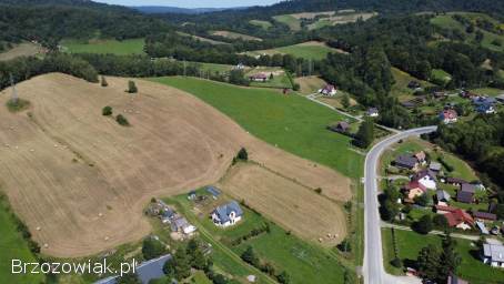 Polana -  Bieszczady widokowe działki -  WZ w trakcie