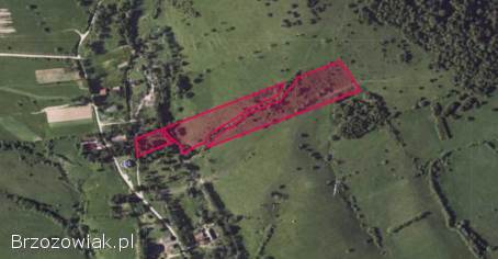 Bystre -  Bieszczady widokowe działki 2,  65ha