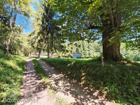 Bystre -  Bieszczady widokowe działki 2,  65ha
