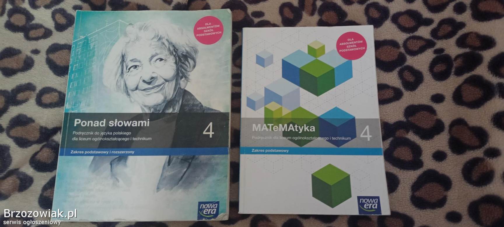 Książka do liceum i technikum 4 klasa Bażanówka Zarszyn - Brzozowiak.pl