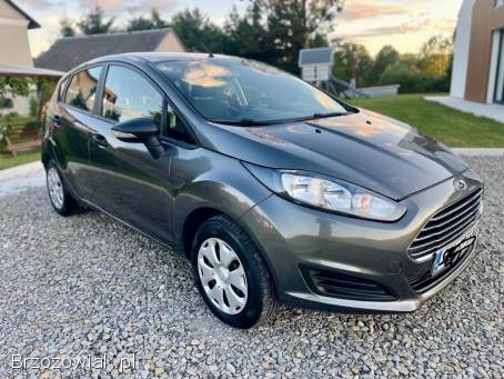 Ford Fiesta Lift 1.  25  2015