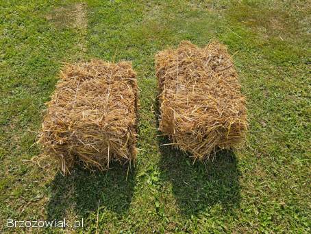 Słoma.  Kostki słomy owsa.