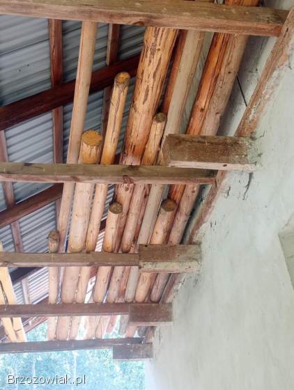 Żerdzie Walki na huśtawkę