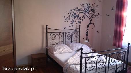 Mieszkanie do wynajęcia w Sanoku