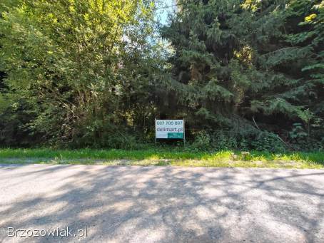 Lipie -  Bieszczady działki inwestycyjne 1,  80ha