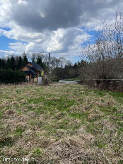 Działka rolni budowlana,  Brzegi Dolne 30 arów