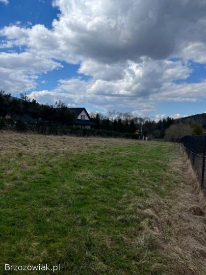 Działka rolni budowlana,  Brzegi Dolne 30 arów