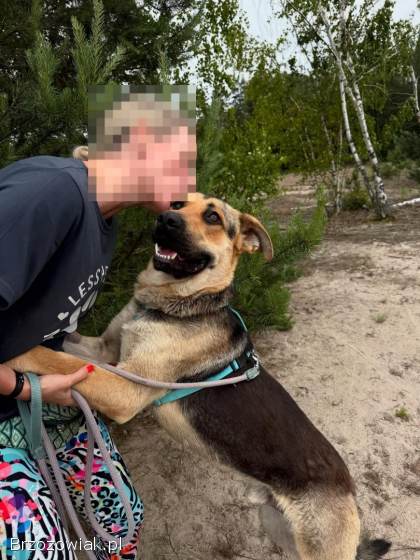 Magnus -  młodziutki,  wesoły psiak szuka domu!