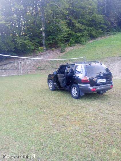 Hyundai Santa Fe 2004