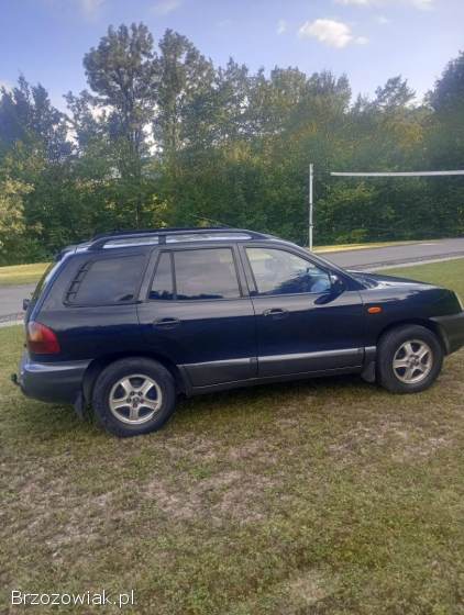 Hyundai Santa Fe 2004