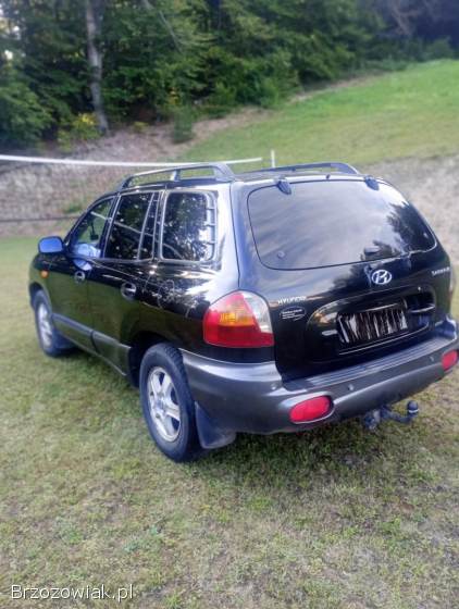 Hyundai Santa Fe 2004