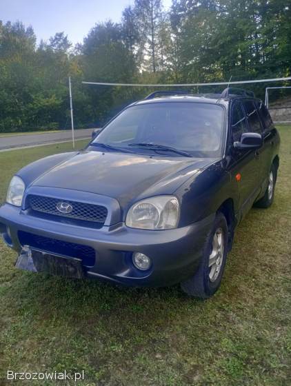 Hyundai Santa Fe 2004