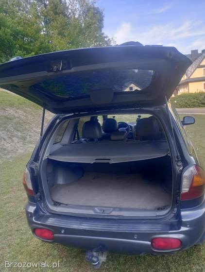 Hyundai Santa Fe 2004
