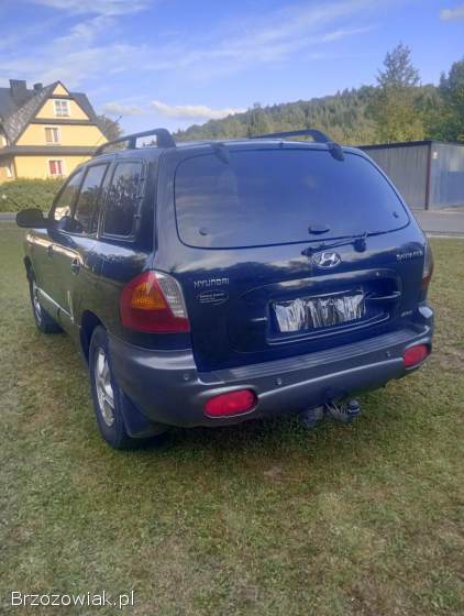Hyundai Santa Fe 2004
