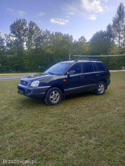 Hyundai Santa Fe 2004