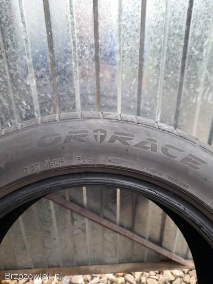 Opona TOMASON SPORTRACE.