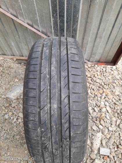 Opona TOMASON SPORTRACE.