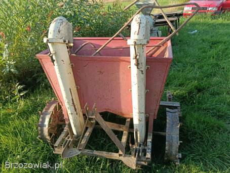 Sadzarka Do ziemniaków Jak nowa Mało używana Ursus C330 / C360 T25