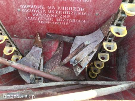 Sadzarka Do ziemniaków Jak nowa Mało używana Ursus C330 / C360 T25