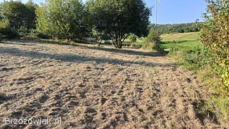 Sprzedam działkę 0,  2741ha w miejscowości Hłudno