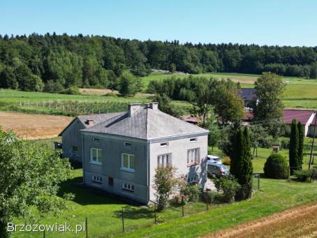 Dom w bliskiej odległości od Krosna
