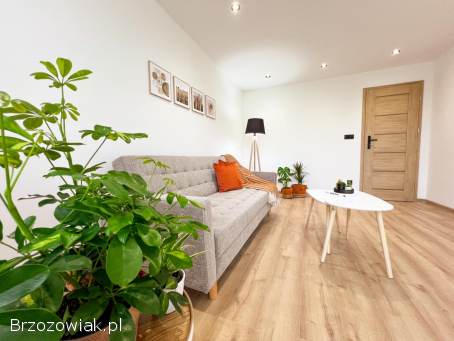 Mieszkanie po generalnym remoncie -  Krosno