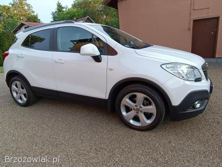 Opel Mokka Cosmo 2013