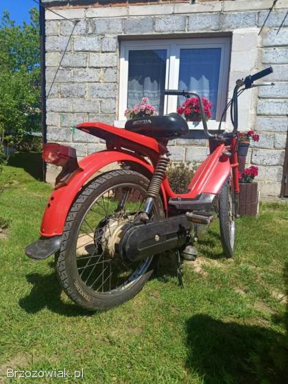 Honda Camino 50 1980