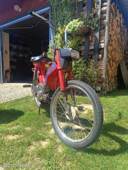 Honda Camino 50 1980