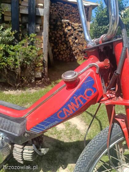 Honda Camino 50 1980