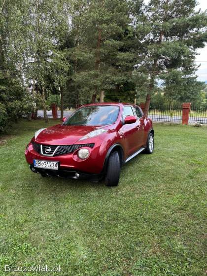 Nissan Juke 2012
