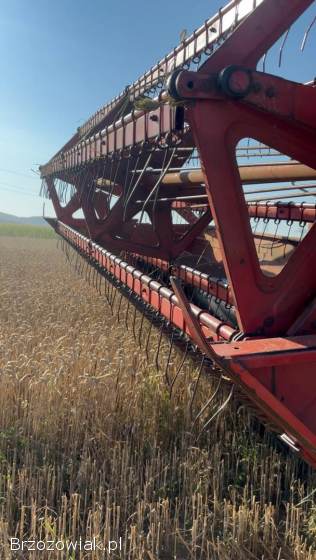 Sprzedam Pszenice,  owies,  pszenżyto i słome