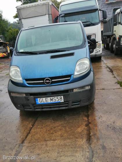 Sprzedam opel vivaro 2004 rok