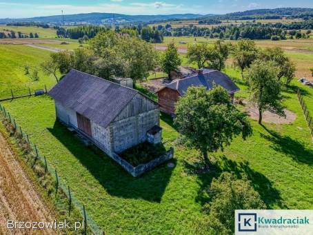 Kopytowa – drewniany dom na pięknej działce