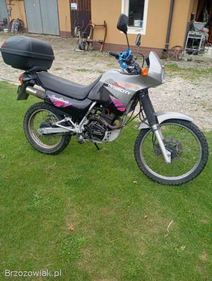 Honda Transcity  1998