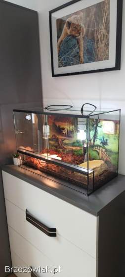 Kompletne terarrium dla żółwia