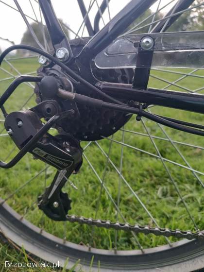 Rower elektryczny INDIANA E-Modena 6 D17 26 cali