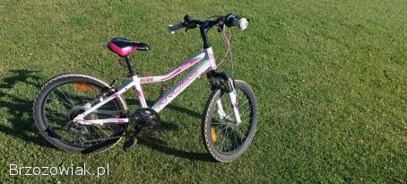 Rower Kross Lea mini