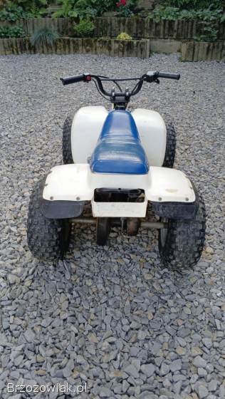 Suzuki LT 50 Quad dla dziecka