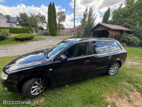 Audi A4 A4B7 Avant 2007