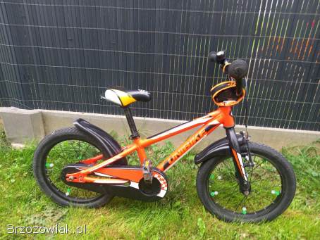 Rower koła 16