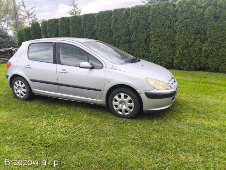 Peugeot 307 2002